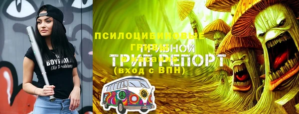 МДПВ Абдулино