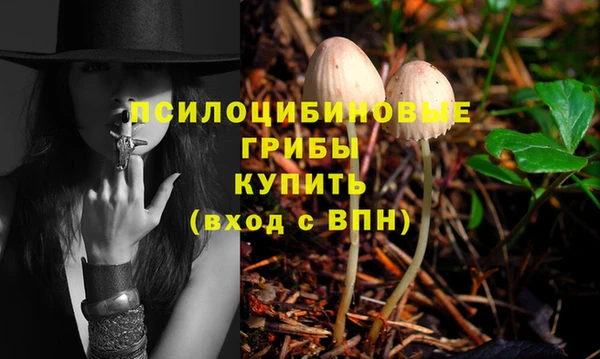 экстази Абаза